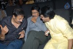 Telugabbai Movie Audio Launch - 46 of 48