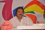 Telugu Film Industry Festival - 60 of 251