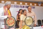 Telugu Film Industry Festival - 86 of 251