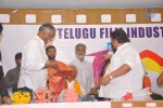 Telugu Film Industry Festival - 242 of 251