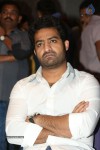 Temper Movie Success Meet 01 - 11 of 120