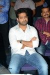 Temper Movie Success Meet 01 - 115 of 120