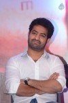 Temper Movie Success Meet 02 - 85 of 180
