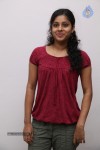 Terra Nijam Movie Audio Launch - 19 of 35