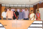 TFJA Press Meet About Swine Flu - 27 of 55