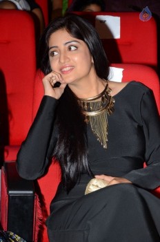 Thikka Audio Launch 2 - 45 of 57