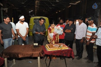 Thikka Film Heroine Larissa Birthday Celebrations - 1 of 4