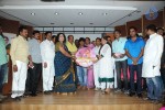Third Man Movie Audio Launch - 45 of 73