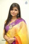 Tiger Movie Audio Launch 01 - 49 of 90