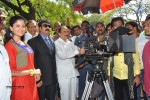 Tiger Sultan Movie Opening - 36 of 80