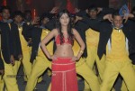 Tikka Movie Working Stills - 30 of 50
