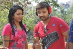 Tolet for Bachelors Only Movie Launch - 37 of 56