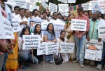Tollywood Stars Support Anna Hazare Movement - 15 of 66