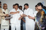 Tommy Movie Audio Launch - 33 of 75