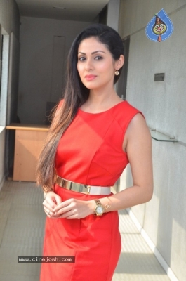 Torch Light Movie Press Meet - 1 of 18