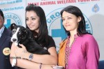 Trisha at Blue Cross Building Launch - 26 of 24