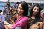 Trisha at Blue Cross Building Launch - 27 of 24