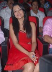 Trisha at Bodyguard Movie Audio Launch - 10 of 34