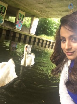 Trisha at Mohini Shooting Spot - 5 of 5