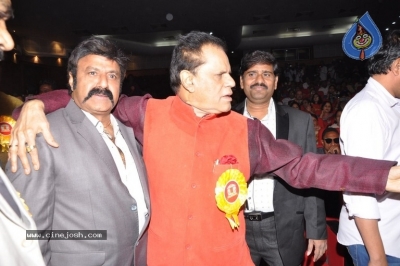 TSR Kakatiya Cultural Festival Photos - 48 of 56