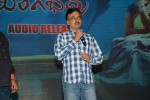 Tungabhadra Audio Launch 02 - 31 of 44