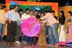 Uyyala Jampala Audio Launch - 24 of 176