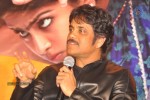 Uyyala Jampala Movie Press Meet - 42 of 110