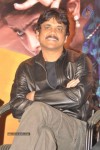 Uyyala Jampala Movie Press Meet - 44 of 110