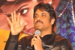 Uyyala Jampala Movie Press Meet - 52 of 110