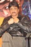Uyyala Jampala Movie Press Meet - 92 of 110