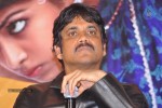 Uyyala Jampala Movie Press Meet - 95 of 110