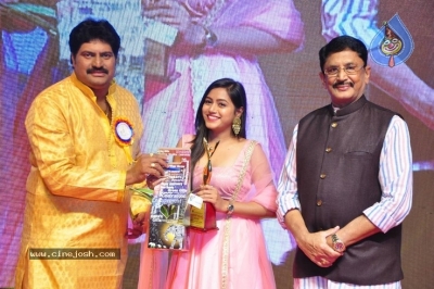 V B Entertainments Bullitera Awards 2019 Photos - 93 of 107