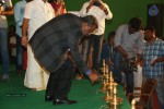 Vaadu Nenu Kaadu Movie Opening 01 - 145 of 236
