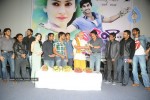 Celebs at Vaareva Movie Audio Launch - 25 of 150