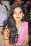 Vachchadu Gelichadu Movie Audio Launch - 30 of 32