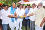 Vaddi Kaasulavaadu Movie Opening - 93 of 179
