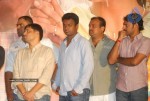 Vaishali Movie Audio Launch  - 48 of 101