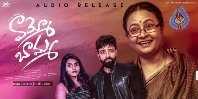 Vammo Bamma Movie Audio Release - 2 of 12