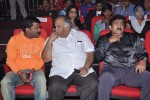 Varna Movie Audio Launch 02 - 35 of 143