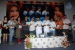 Varudhini.Com Movie Audio Launch - 3 of 33