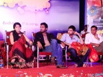 Vastadu Naa Raju Movie Audio Launch - 41 of 27