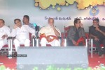 Vastadu Naa Raju Movie Audio Launch Set 2 - 31 of 123