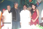 Vastadu Naa Raju Movie Audio Launch Set 2 - 91 of 123