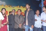 Vastadu Naa Raju Movie Audio Launch Set 2 - 99 of 123