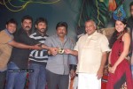 Vastadu Naa Raju Movie Audio Launch Set 2 - 100 of 123