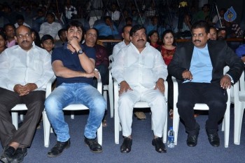 Veediki Dookudekkuva Audio Launch - 24 of 63