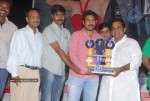 Veera Movie Triple Platinum Disc Function - 22 of 97