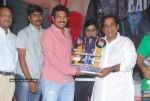 Veera Movie Triple Platinum Disc Function - 42 of 97