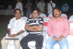 Veera Movie Triple Platinum Disc Function - 46 of 97