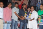 Veera Movie Triple Platinum Disc Function - 87 of 97